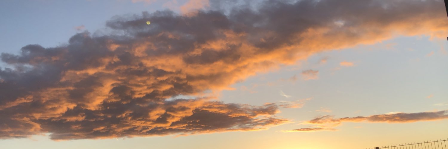 littleCardi's profile banner image