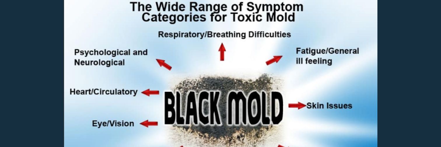 Mold banner