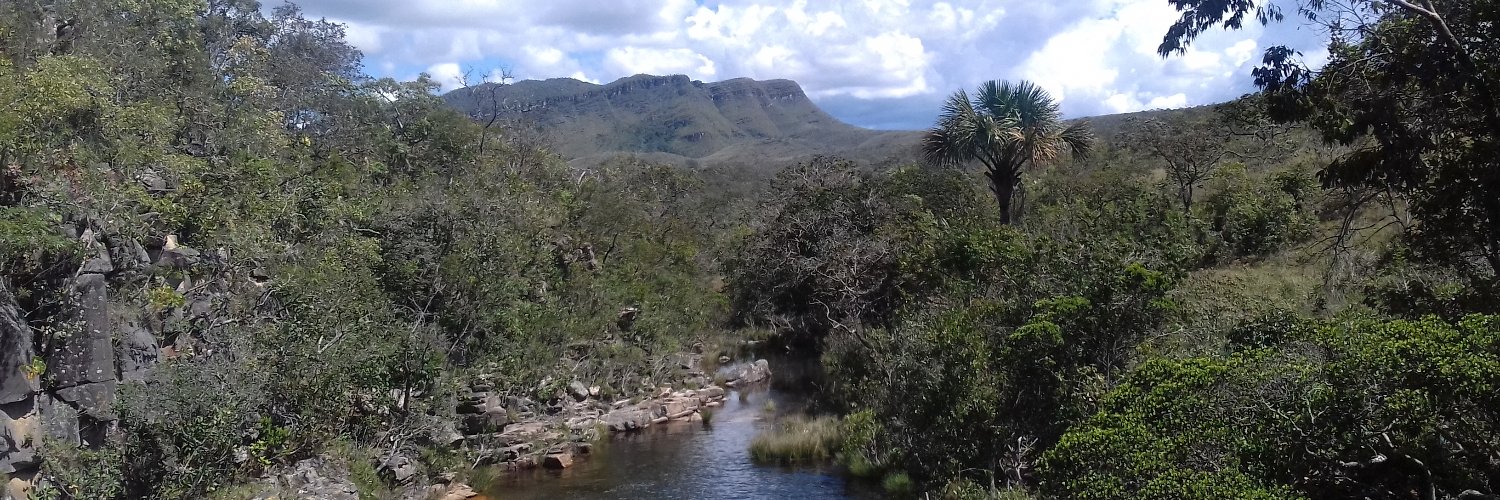 Juliana Hotta Ansai banner