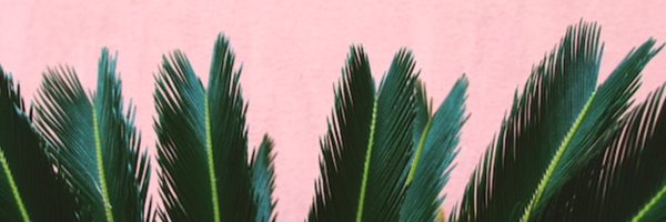 SUPERWEIRDLND Profile Banner