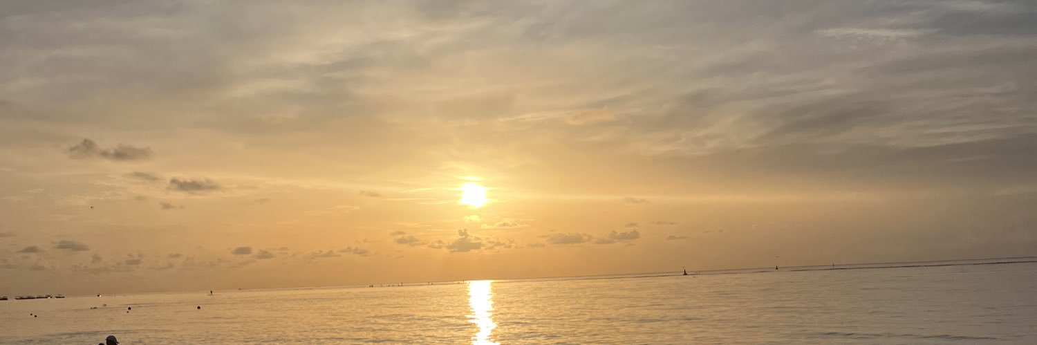 MichelleRys_'s profile banner image