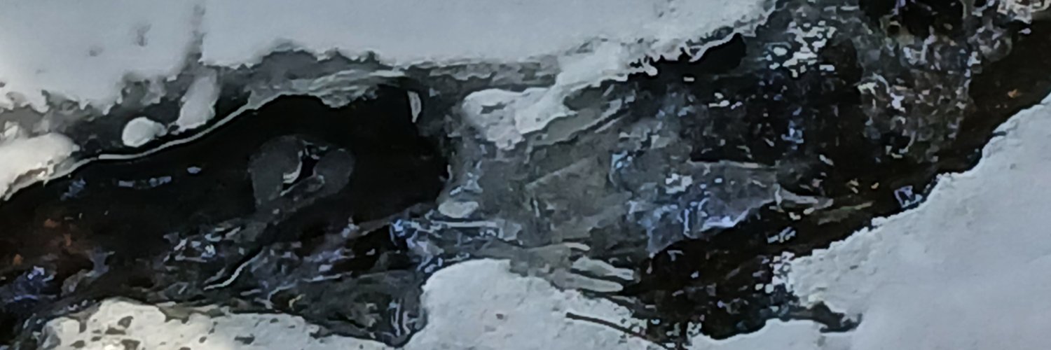 Vince (Harold fan) banner