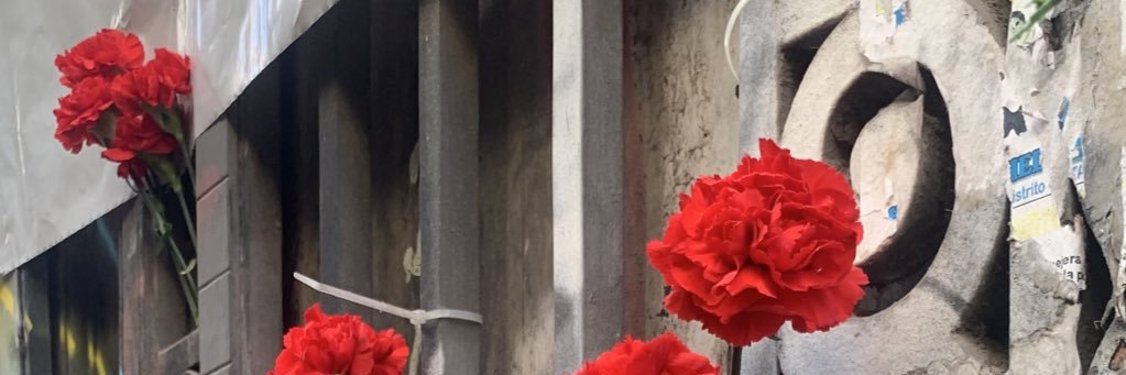 nuriacarbor's profile banner image