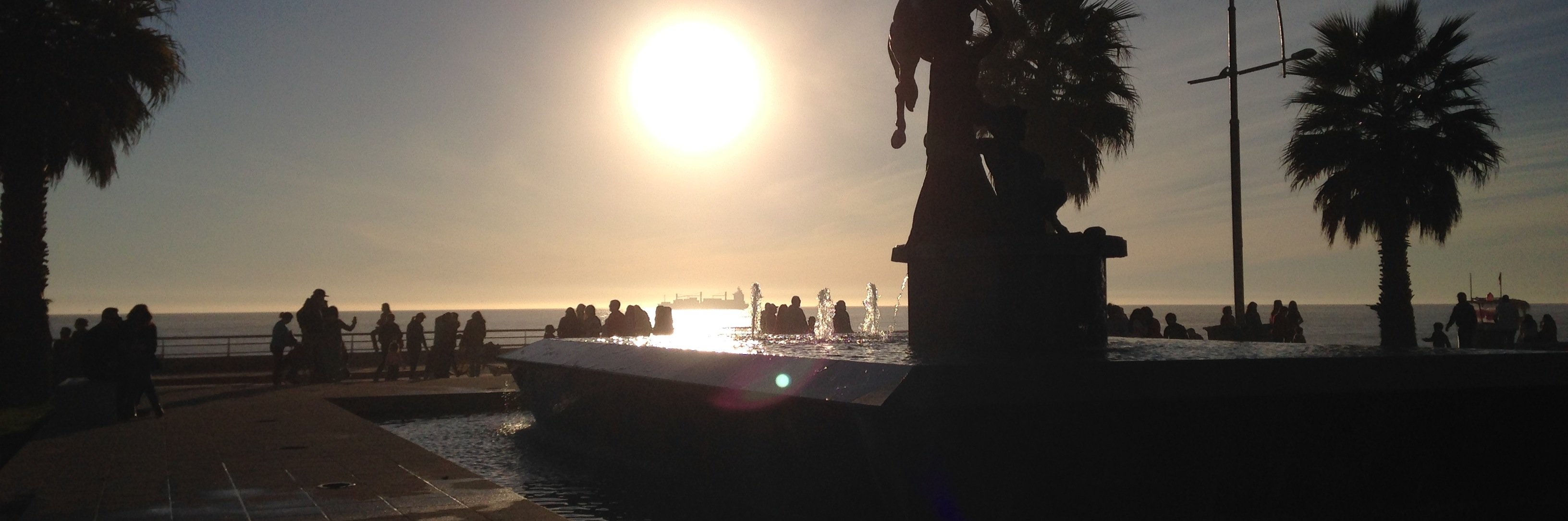 Diego Carrasco G. banner