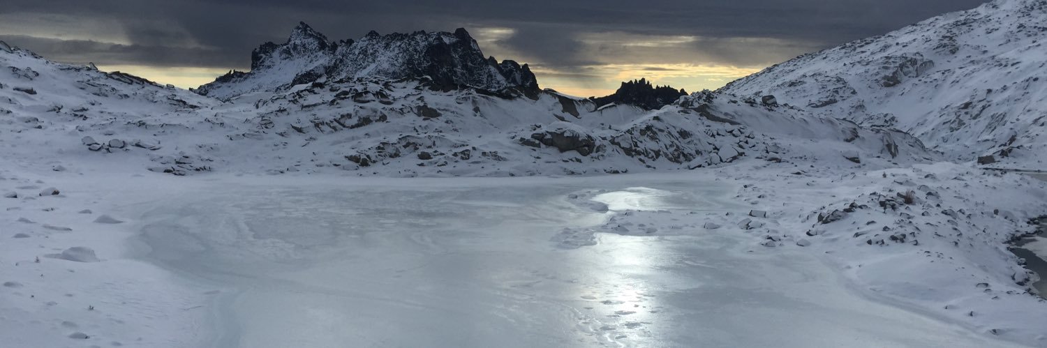 Stepn_PDX 👟🌩 banner