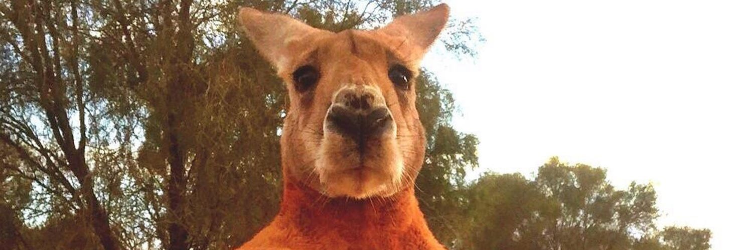 Brian Janssen banner