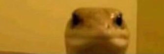 kqleb's profile banner image