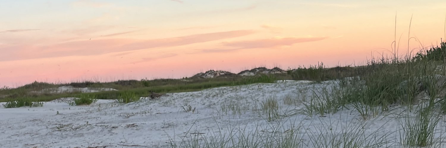 marleecolson's profile banner image