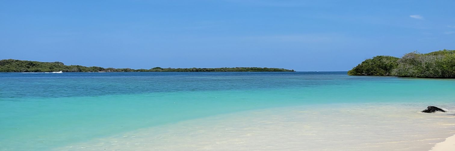 nataschafdi's profile banner image