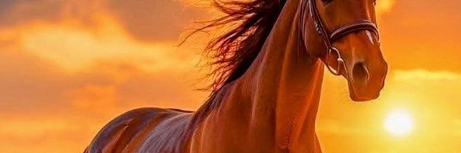 Carmjosefa's profile banner image
