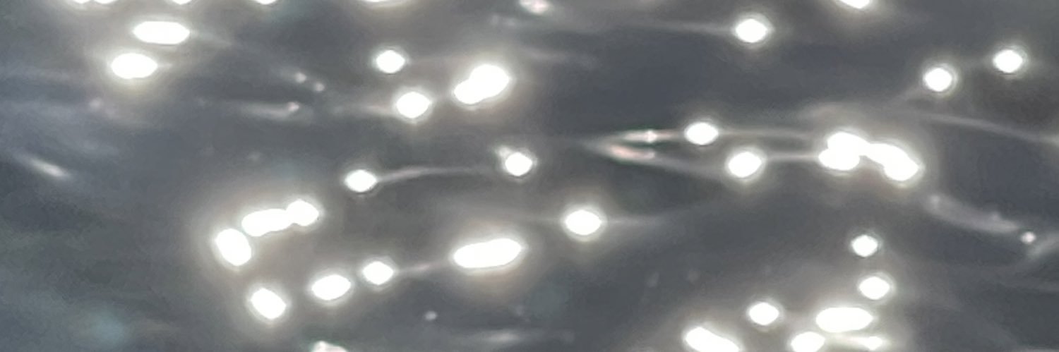 pukandanq's profile banner image