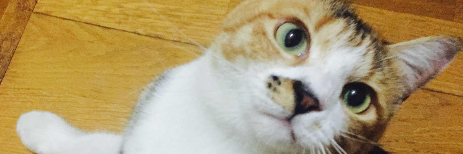 Yuki_Cello's profile banner image