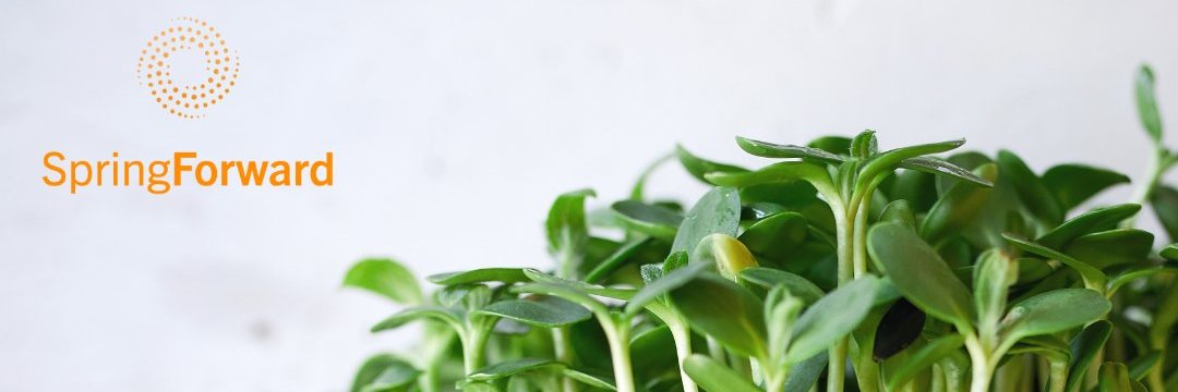 SpringForward banner