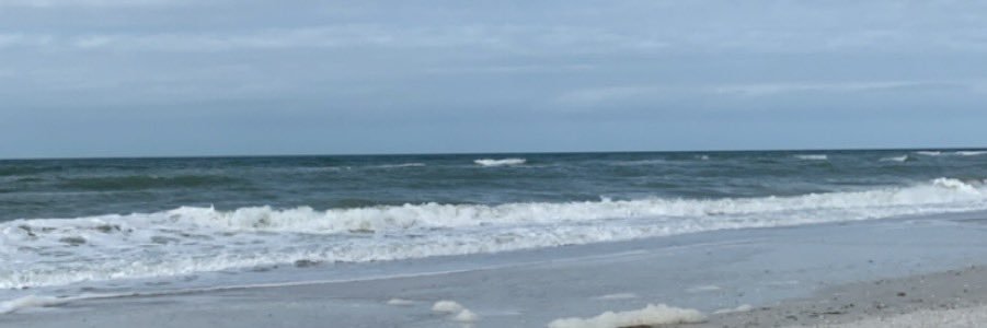 mollyyfoster's profile banner image