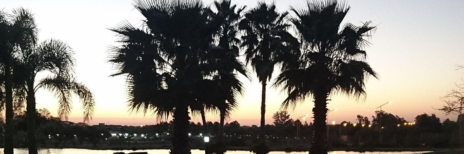 GuadalupeSA's profile banner image