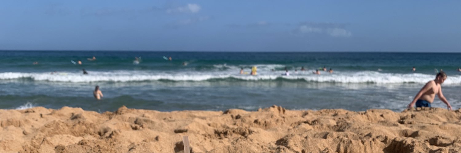 b a i l e y banner