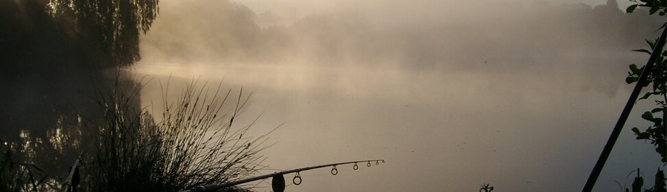 stanninghall's profile banner image