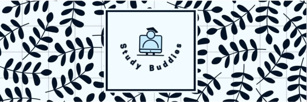 studybuddiessb's profile banner image