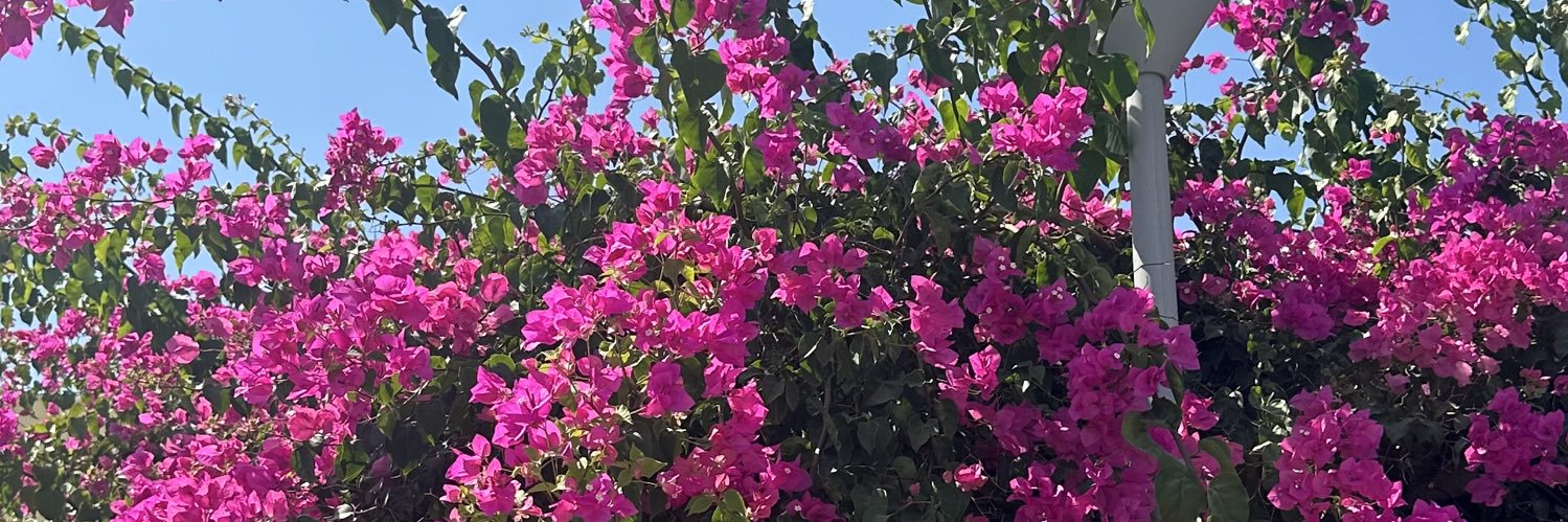 juliegraham99's profile banner image