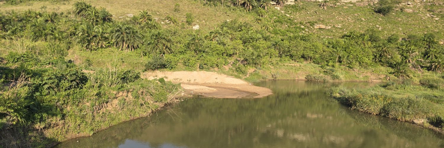 BapiRu's profile banner image