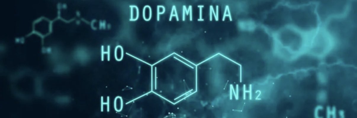 dopamina's profile banner image