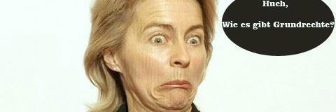 freierPirat 🏴‍☠️ banner