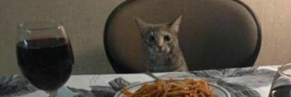 Spidercheetos_ Profile Banner