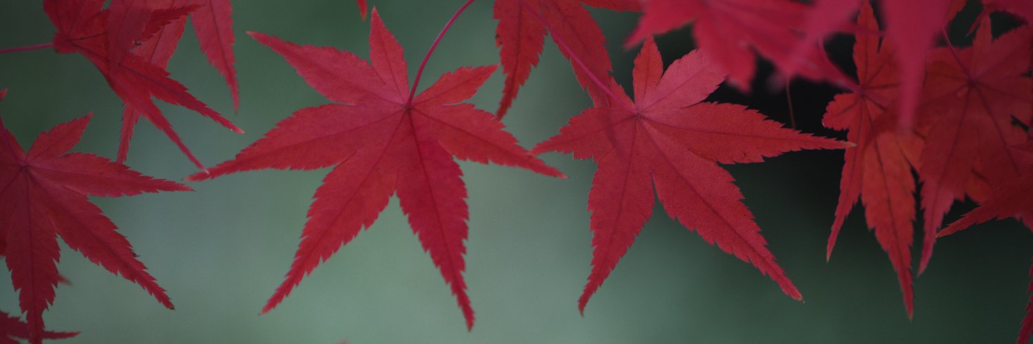 y_141's profile banner image
