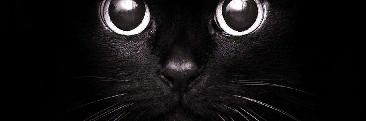 veshengo's profile banner image