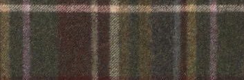 s h i banner