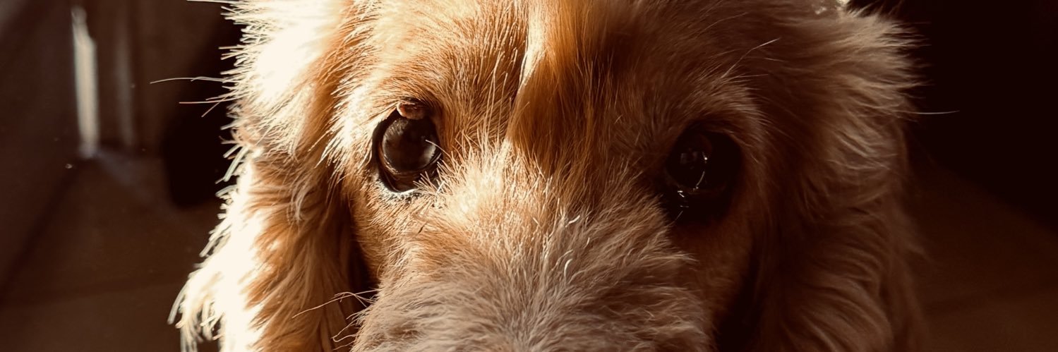 user29122020's profile banner image