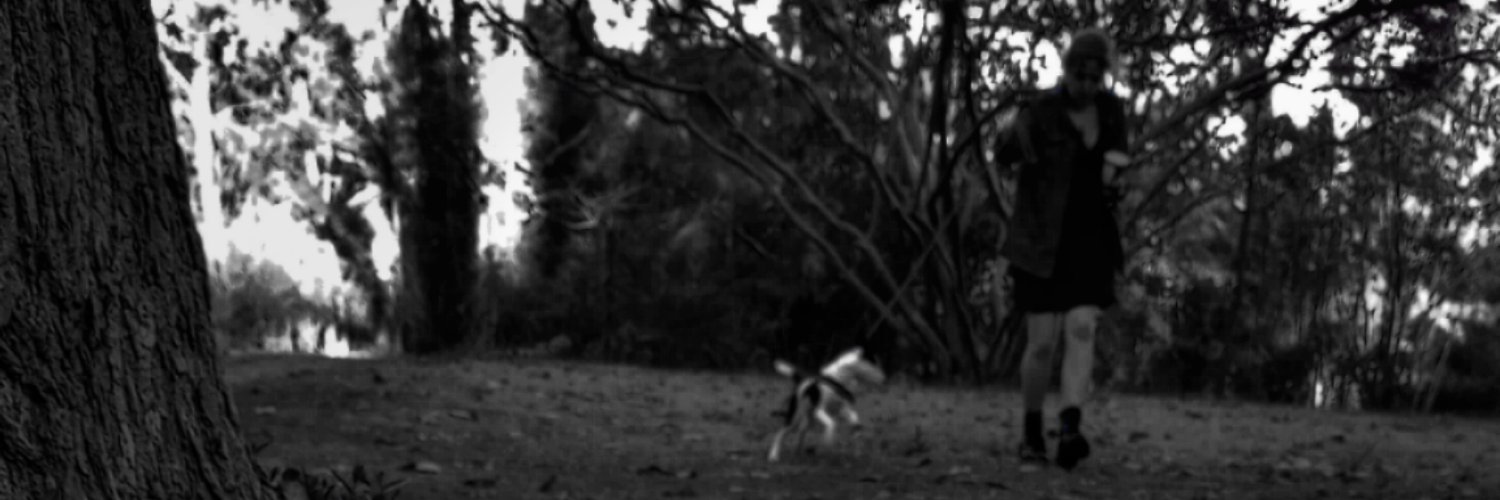Nick Shehan banner