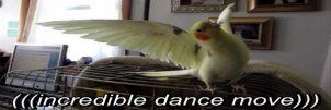 Alb banner