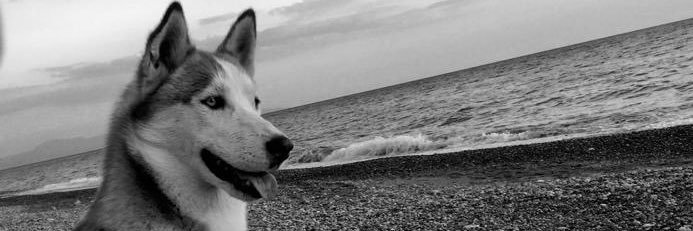 pretuzz_'s profile banner image