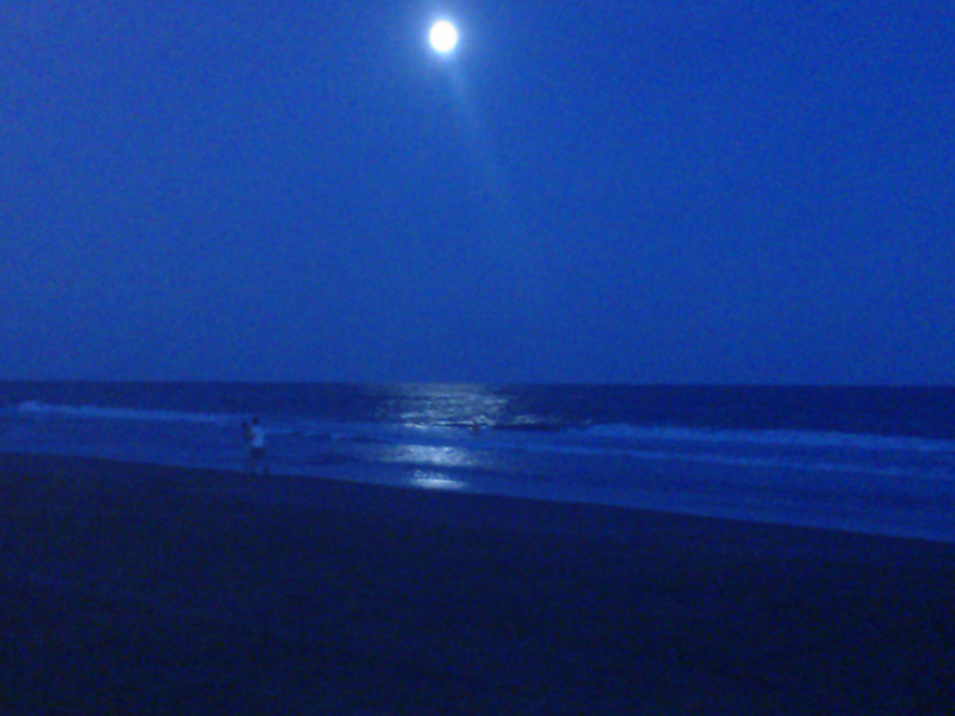cocoframallo's profile banner image