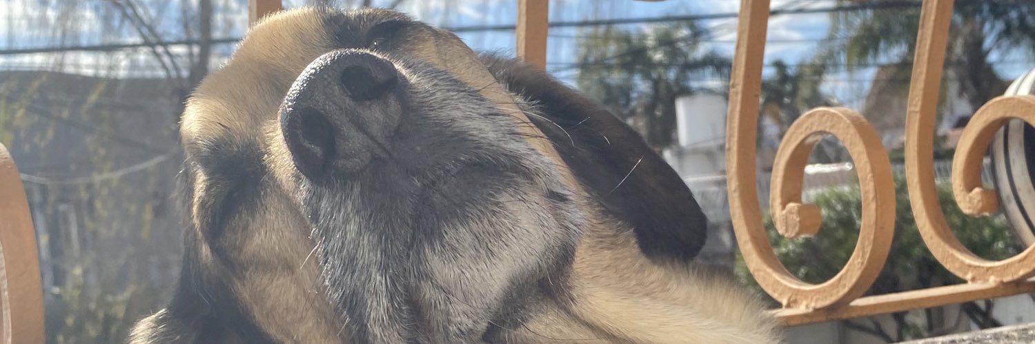 AlexSimi_'s profile banner image