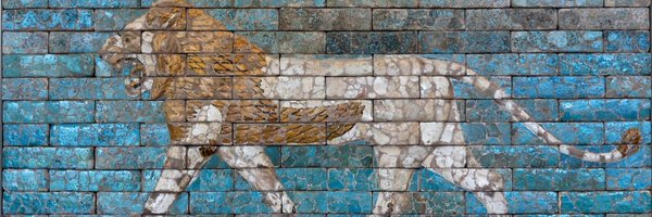 yu918228435 Profile Banner