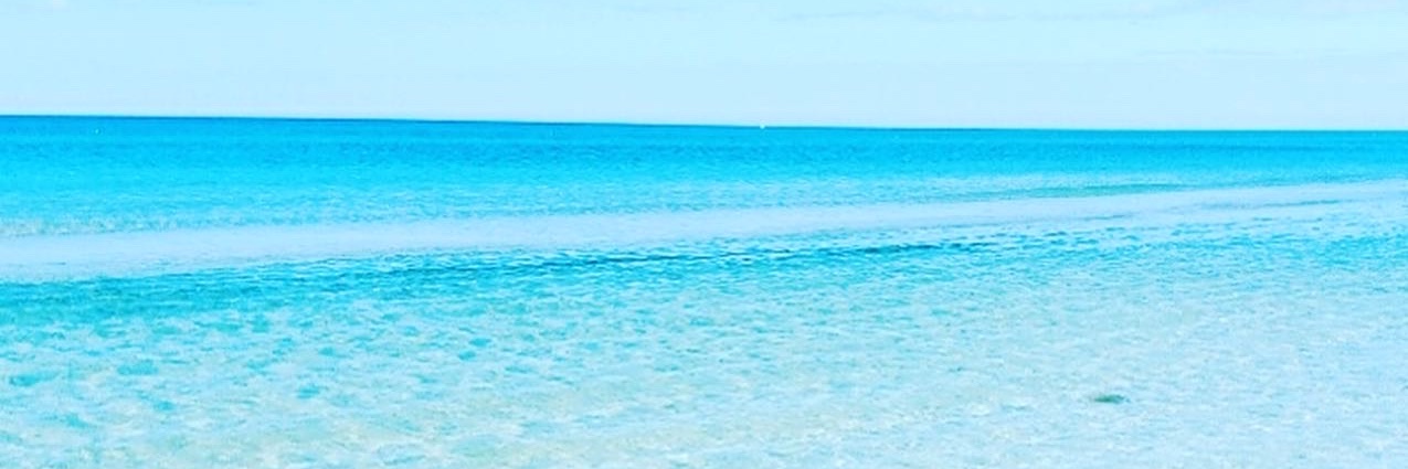 Real_LStat's profile banner image