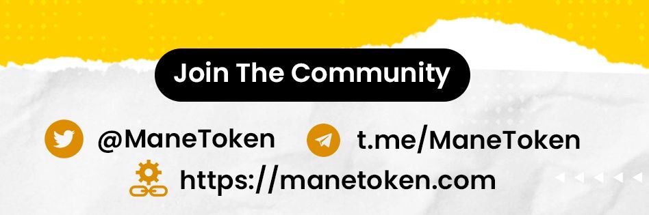 ManeToken's profile banner image