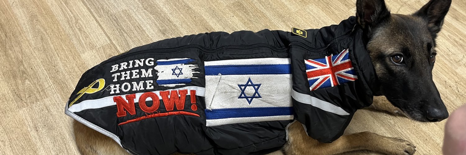Zev banner