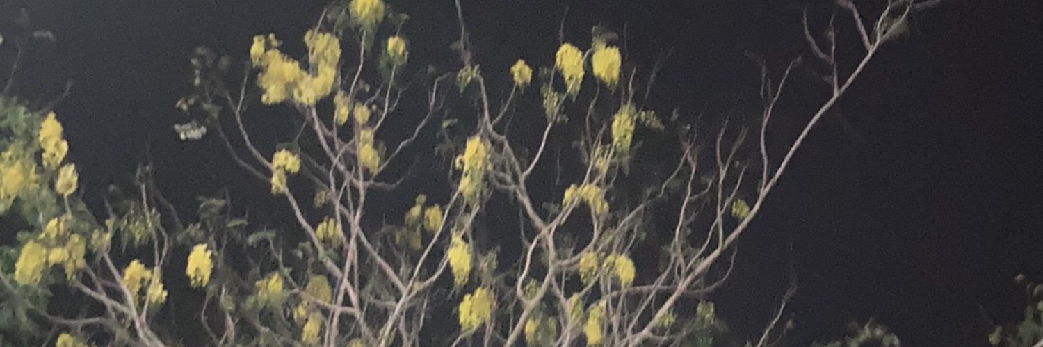 4ugusttt's profile banner image