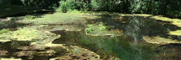 wallingf Profile Banner