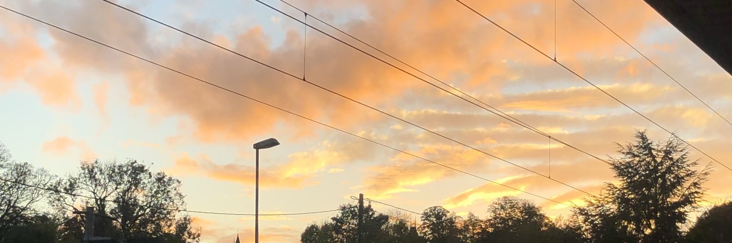 Louisefcx's profile banner image