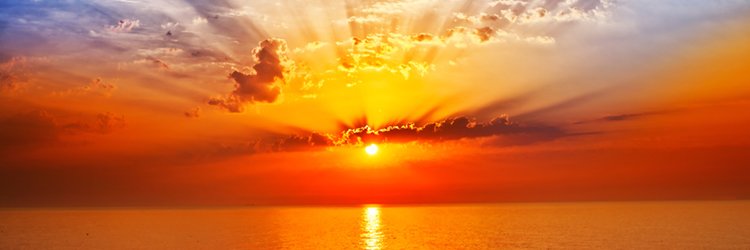 EyeBlue2021 "💙 De.Fi Army" "$RVV" "🟠 NFTARMY" banner