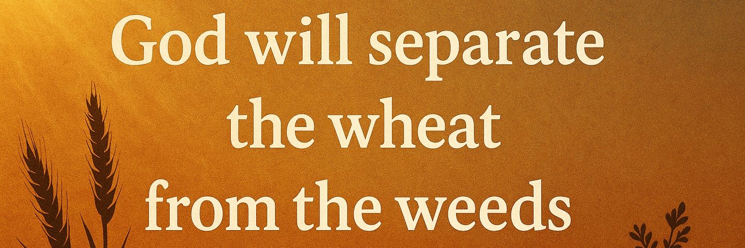 Anzor Pichkhadze banner