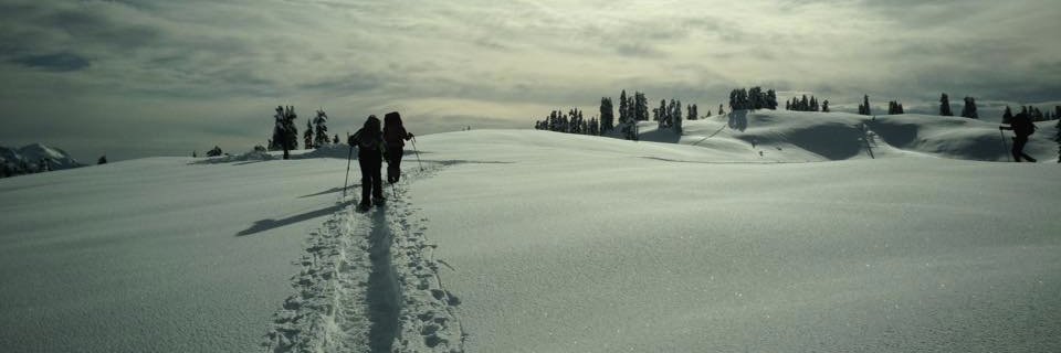 reneeeblack's profile banner image