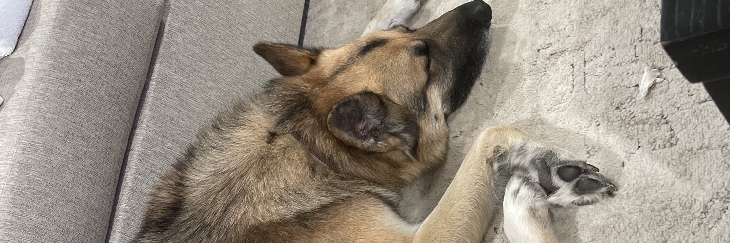 Unholy Scoundrel banner