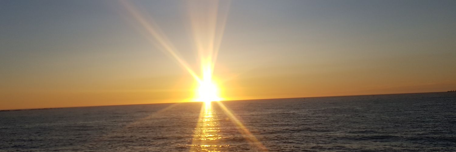 RaquelCastroSa's profile banner image