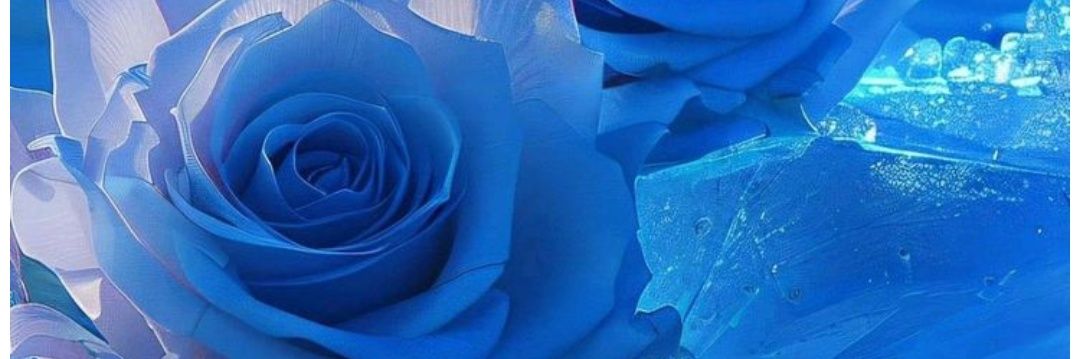 𝑨𝒏𝒆𝒎𝒐𝒏𝒆 banner