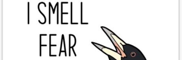 JafaaroBonanno's profile banner image